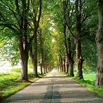 Fischstuebchen Neeberg 1 - Wald Und Wiese