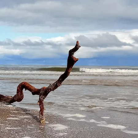 Fischstuebchen Neeberg 1 - Wald Und Wiese דירה