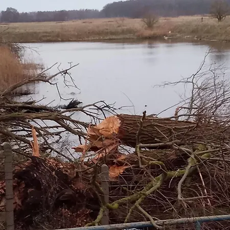Fischstuebchen Neeberg 1 - Wald Und Wiese *