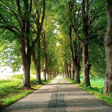 Fischstuebchen Neeberg 1 - Wald Und Wiese