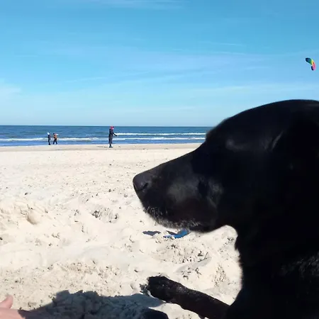 דירה Fischstuebchen Neeberg 1 - Wald Und Wiese *