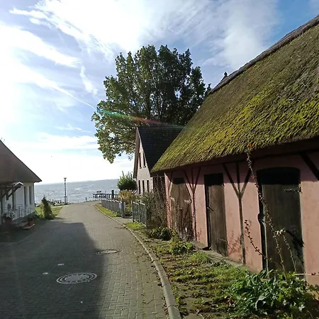 公寓 Fischstuebchen Neeberg 1 - Wald Und Wiese *